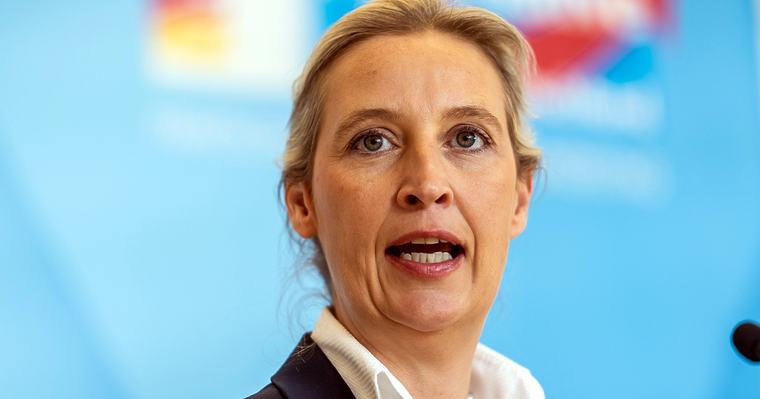 ДЕНЯТ В НЯКОЛКО РЕДА: AfD с рекорд в Германия, Борисов не иска ГЕРБ да има кандидат-президент